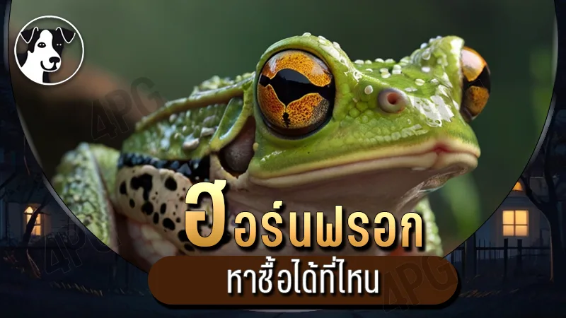 ฮอร์นฟรอก