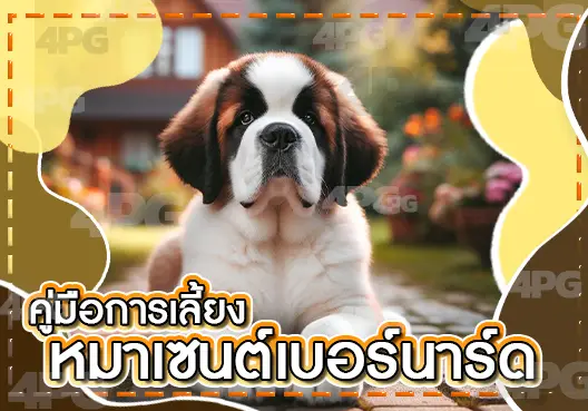 หมาเซนต์เบอร์นาร์ด