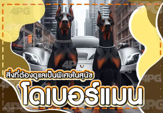 โดเบอร์แมน พินสเชอร์