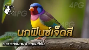 นกฟินซ์เจ็ดสี