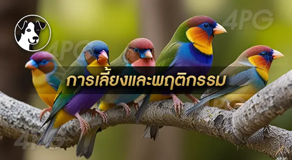 นกฟินซ์เจ็ดสี